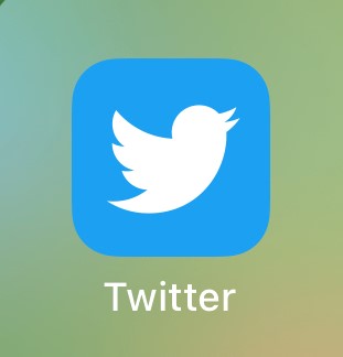 MUNDANE MYSTERIES: Why is the Twitter logo a bird?