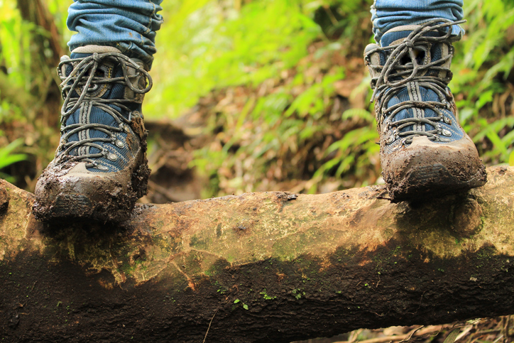 TELL ME SOMETHING GOOD: Internet Sleuth Saves Stranded Hiker Based On A Single Photo