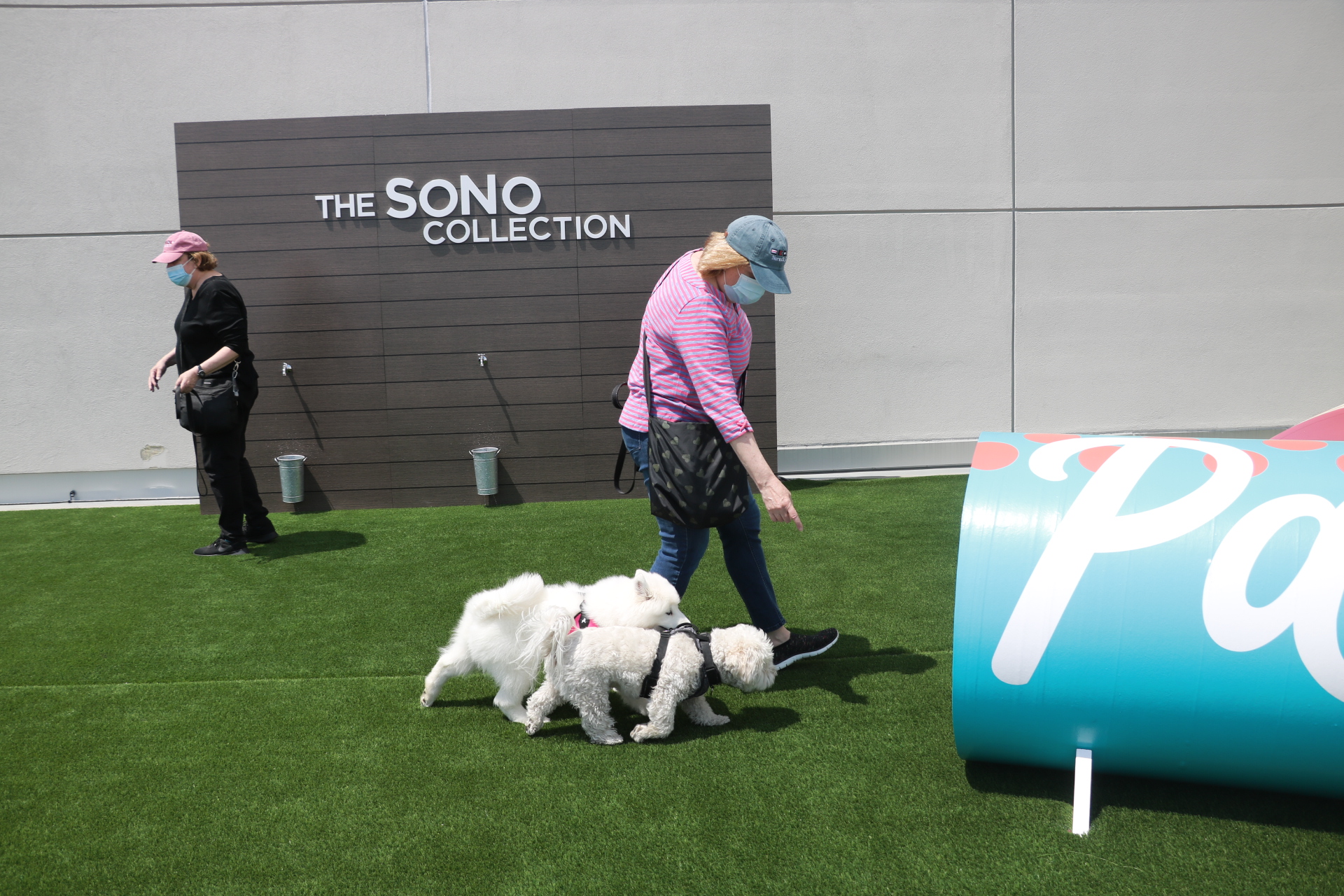 Photos: Pup Brunch at the SoNo Collection