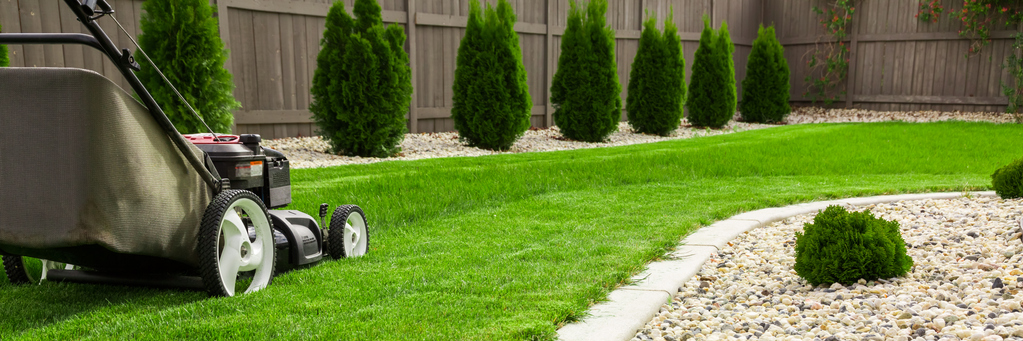 TELL ME SOMETHING GOOD: Teenage Sets Out To Mow 50 Lawns For 50 Veterans This Summer