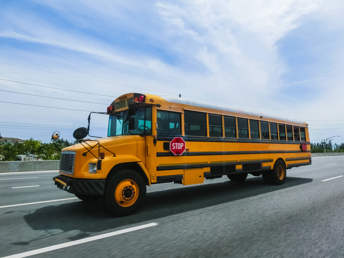 MUNDANE MYSTERIES: What are the long black lines on the sides of school busses?