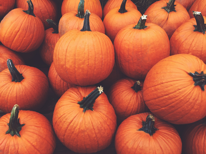 MUNDANE MYSTERIES: Is a pumpkin a fruit or vegetable?