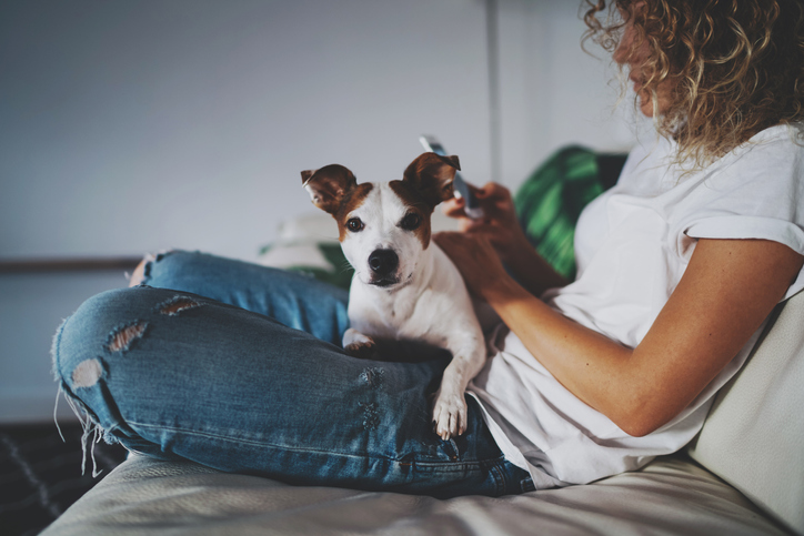 TELL ME SOMETHING GOOD: Tinder For Dogs