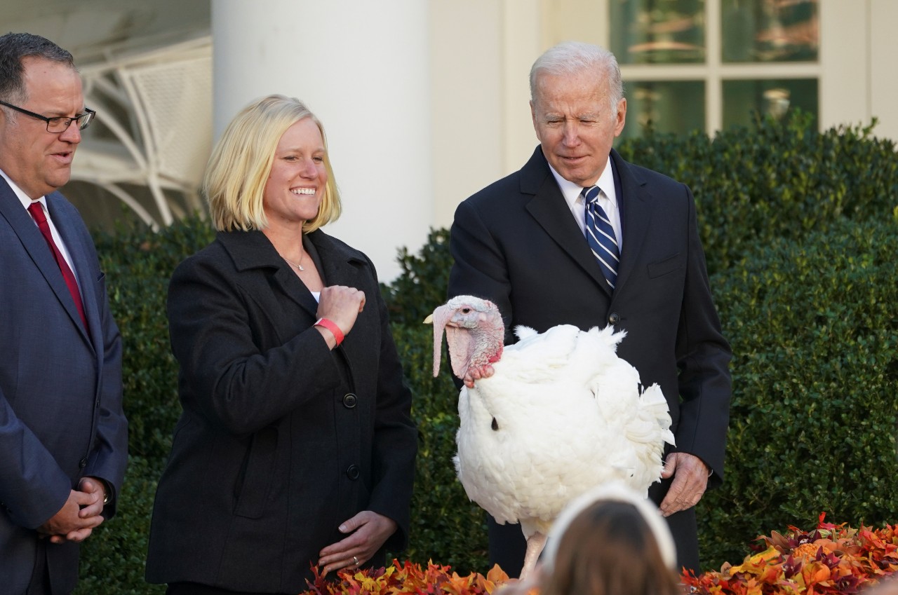 MUNDANE MYSTERIES: What happens to the turkeys after the President pardons them?