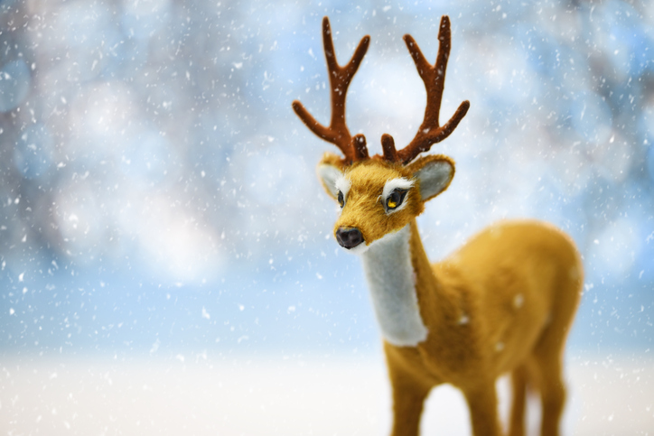 MUNDANE MYSTERIES: Is Rudolph male or female?