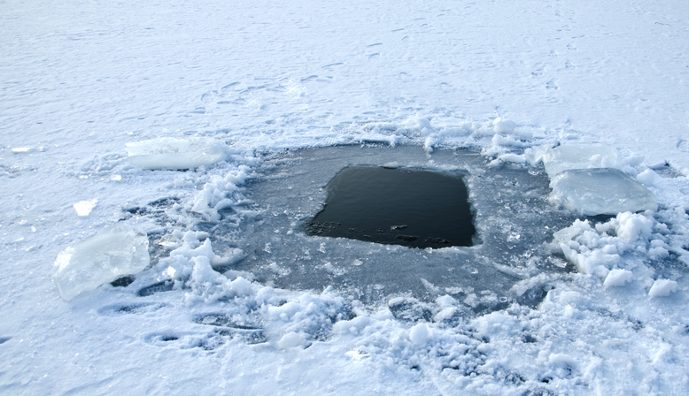 TELL ME SOMETHING GOOD: Two cops make a winter rescue pulling dog from frozen lake