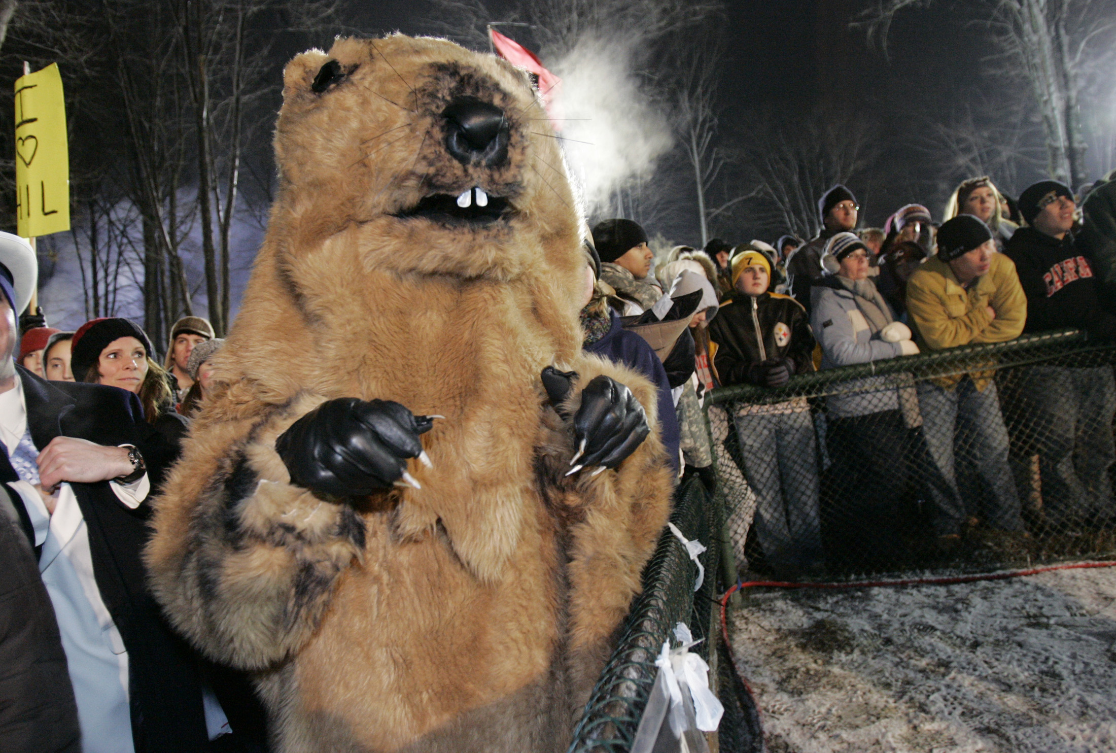 MUNDANE MYSTERIES: What are the rules for the groundhog’s shadow?