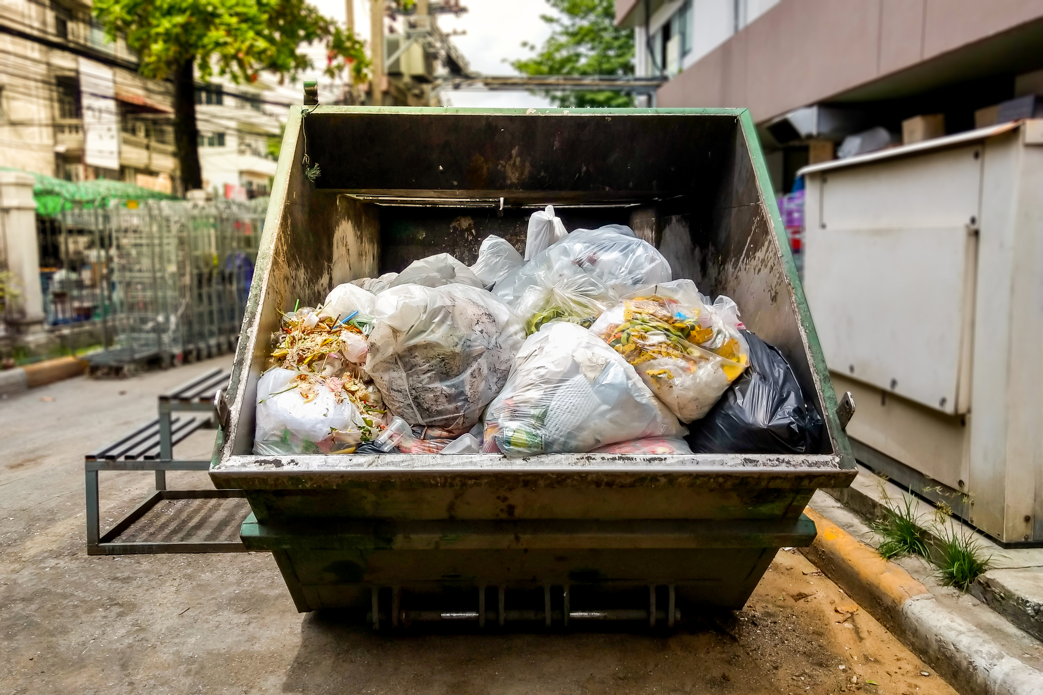 Dumpster Diving For “Treasures”