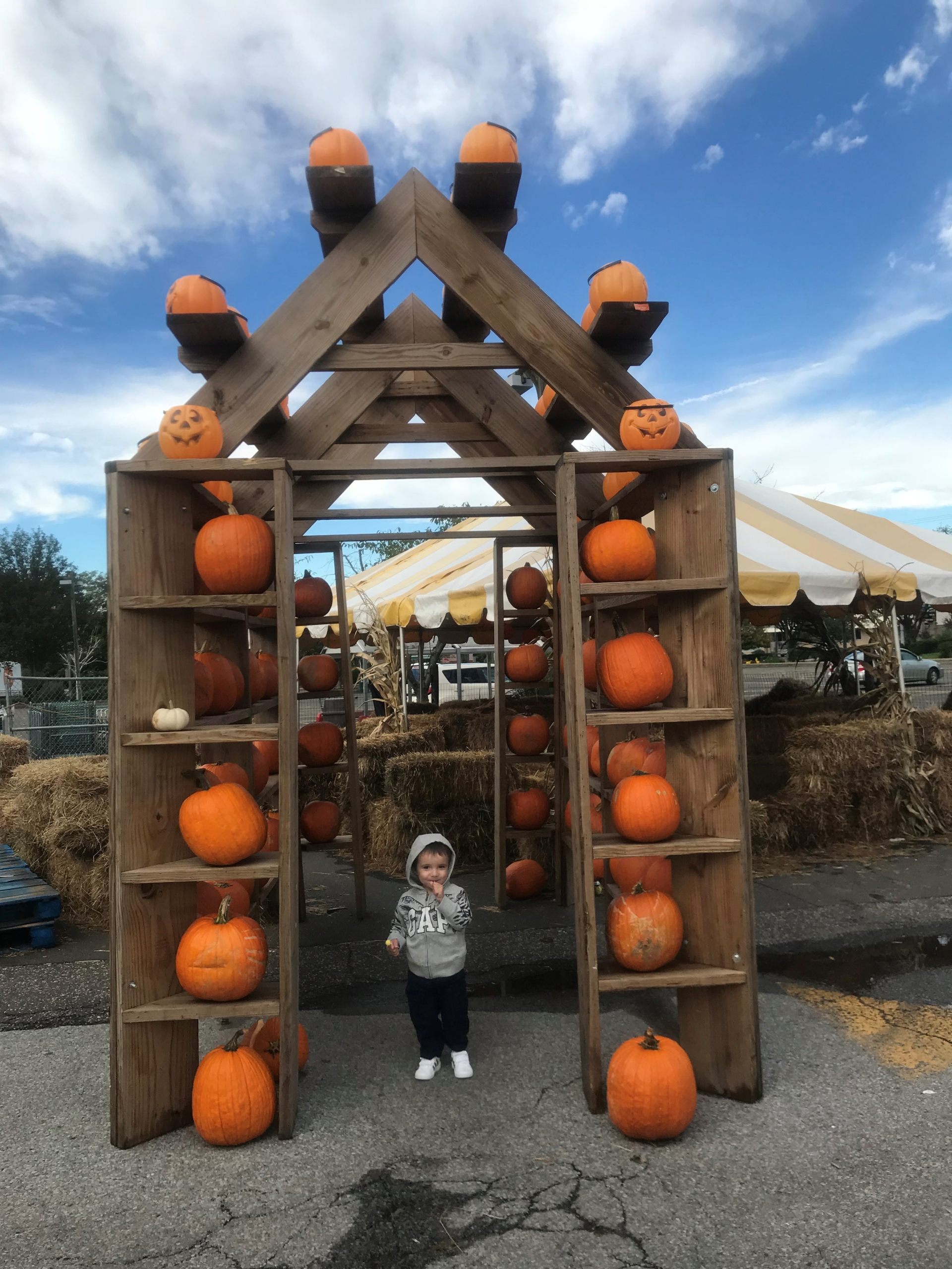 THE FEED: A Weekend Of Pumpkin Fun