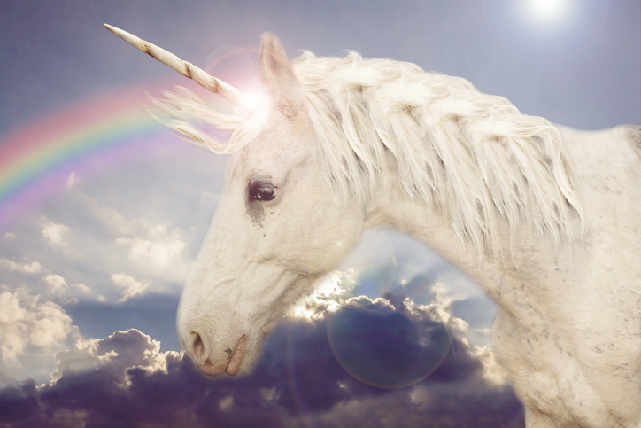 TELL ME SOMETHING GOOD: 6-year-old girl gets real answer to her “owning a unicorn” questions