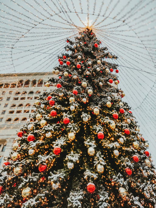 MUNDANE MYSTERIES: How tall is the tallest Christmas tree ever?