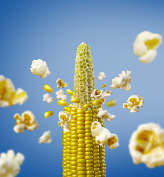 MUNDANE MYSTERIES: What makes a popcorn kernel actually pop?