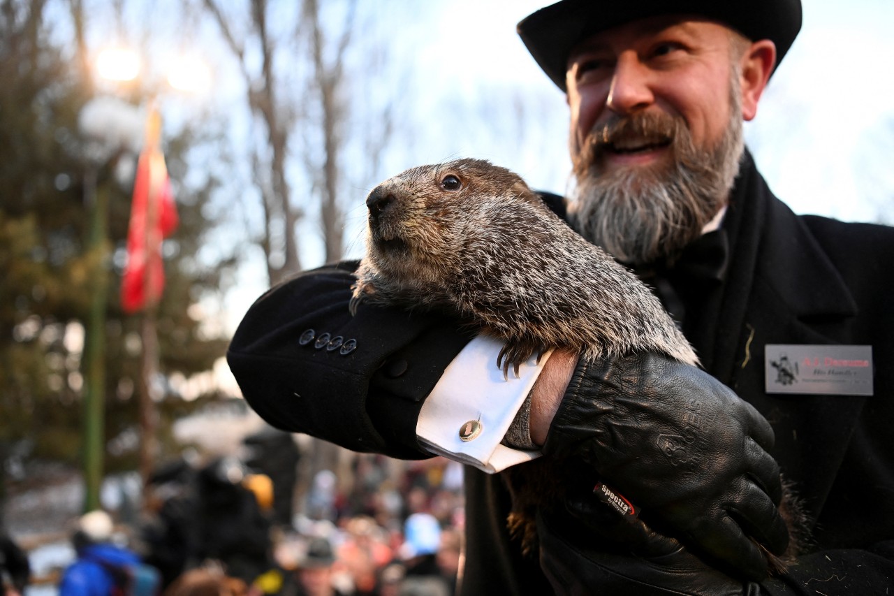 MUNDANE MYSTERIES: How accurate is Punxsutawney Phil?