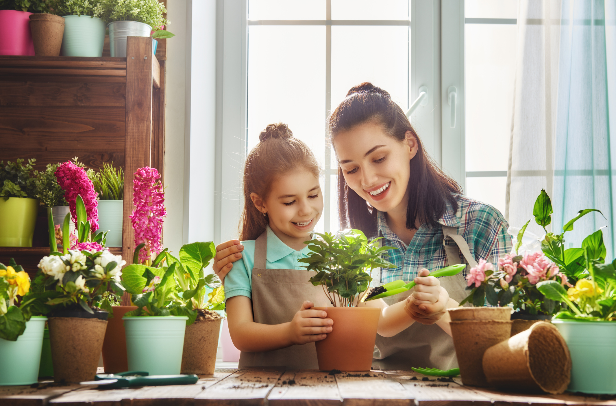 THE FEED: Home Maintenance Hacks and Gardening Tips