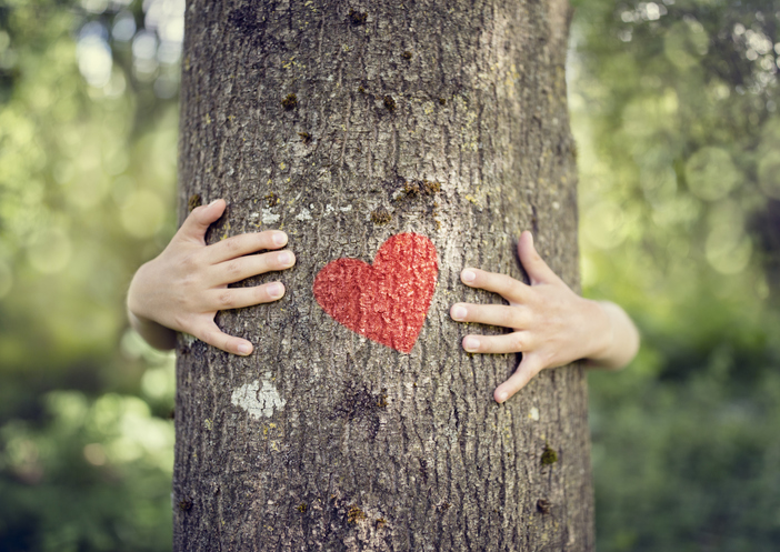 THE FEED: Hugging Trees and Other Ways to Improve Mental Health