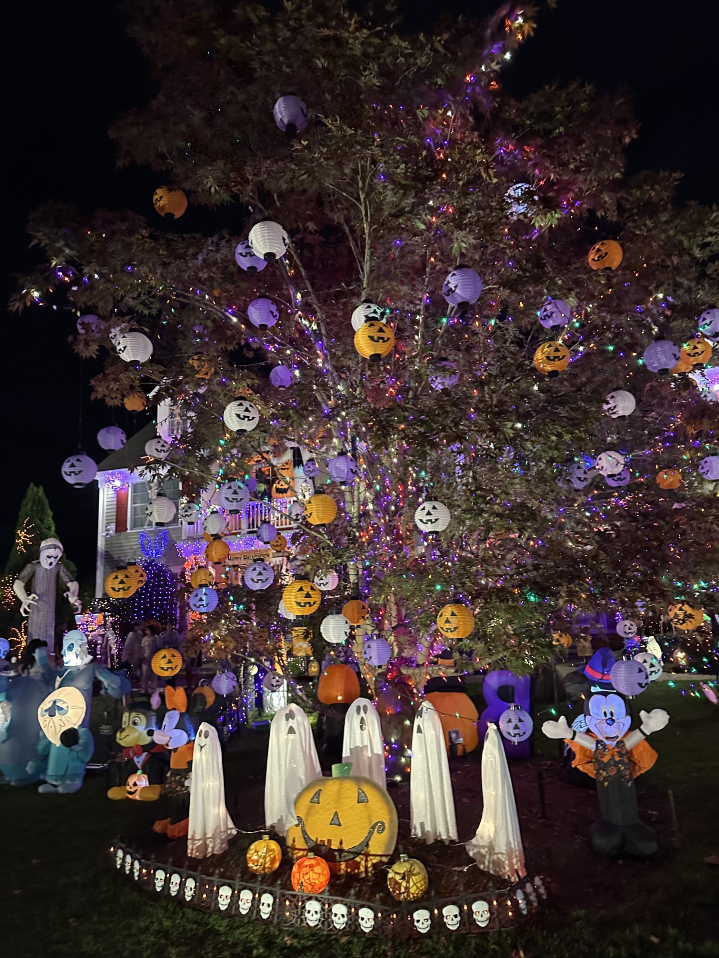 The Feed: Trick or Treat Fest in Bridgeport and a Spooky Halloween Display in Fairfield!