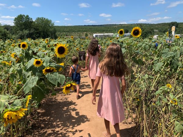 Peaches, S’Mores, and Rollerskating Into The Weekend With These Fun Events