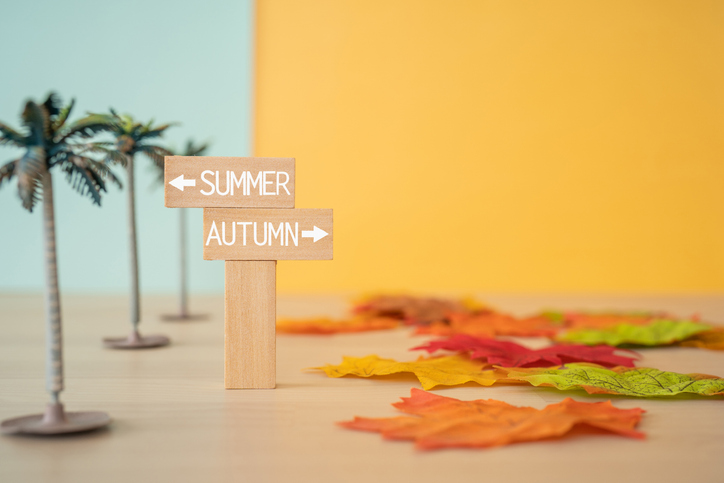 Late-Summer Home Refresh: Prepping for the Season Change