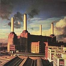 99.1 PLR Ferraro’s Market Mike’s Record Review: Pink Floyd’s “Animals”