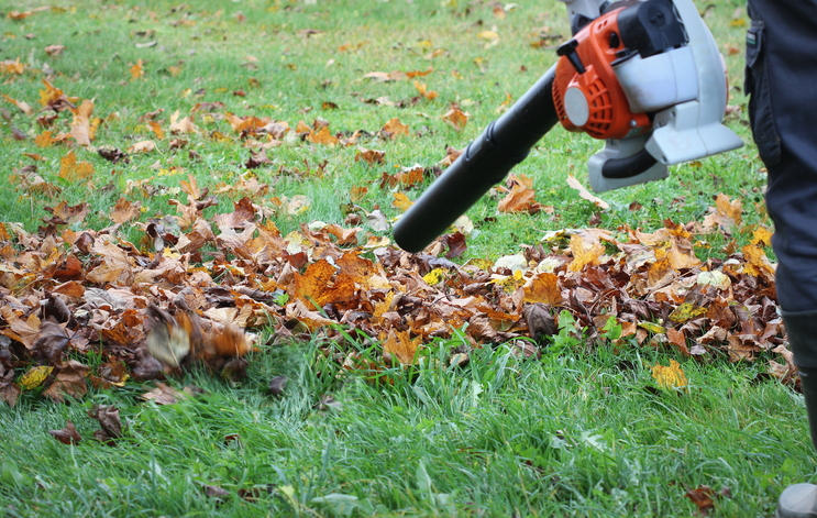 PODCAST – Tuesday, June 15: The War On Leaf Blowers; Attorney Norm Pattis; The Tribe Member Who Knows The Guy Swallowed By A Whale