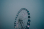 PODCAST – Wednesday, June 29: The Cat Who Could Talk; The Most Haunted Amusement Park In America; Turning Manure Into Fuel