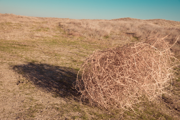 PODCAST – Wednesday, October 26: Freak Week – Stratford’s Phelps Mansion; Trapped In A House Because Of Tumbleweeds; Superstitions Of The Tribe