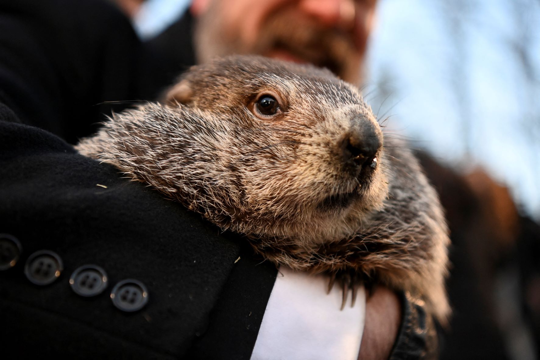 PODCAST – Thursday, February 2: Groundhog Day; New England Brewing Co. Stops By; Connecticut Photographer Going To The Moon