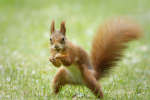 Friday, September 26: Sentencing the Daycare Dirtbag, Duct Taped on a Plane, Attack Squirrels