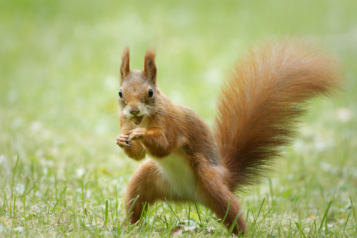 Friday, September 26: Sentencing the Daycare Dirtbag, Duct Taped on a Plane, Attack Squirrels