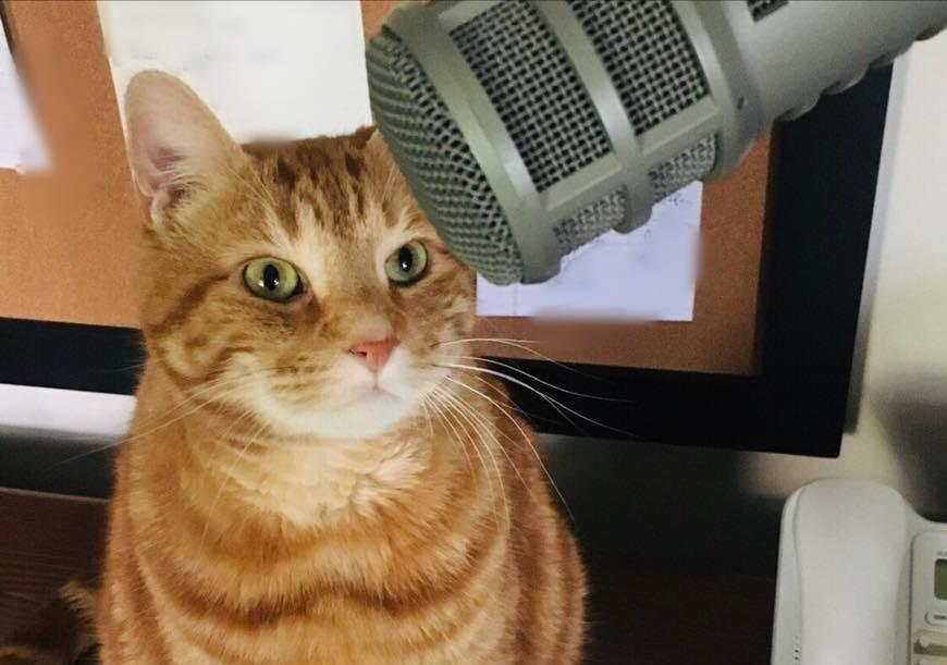 PODCAST – Monday, October 12: Chaz Remembers His Cat; One Of The Worst Football Injuries Ever; Return Of The Rumpologist