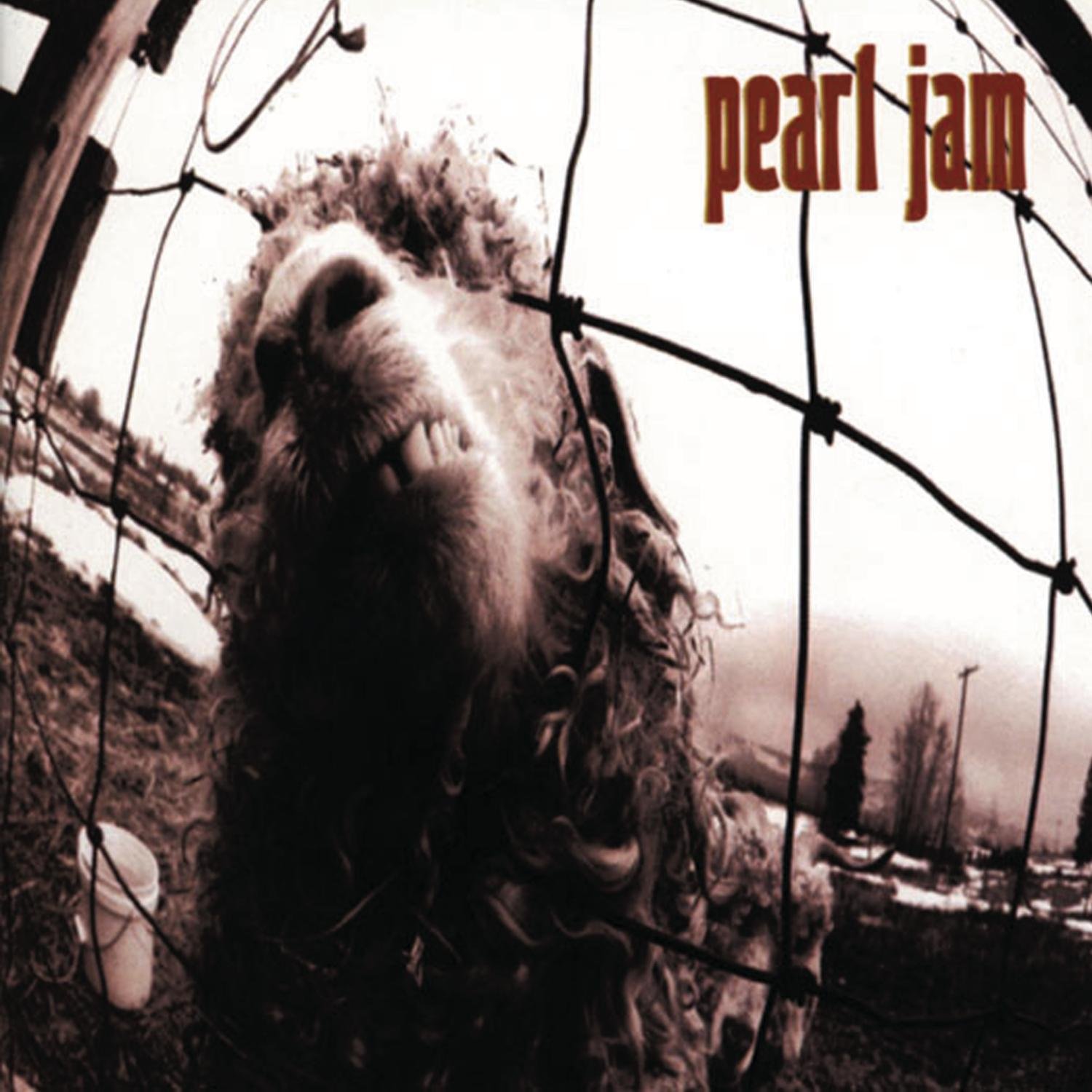 20 Albums, 20 Days: Pearl Jam ‘Vs.’