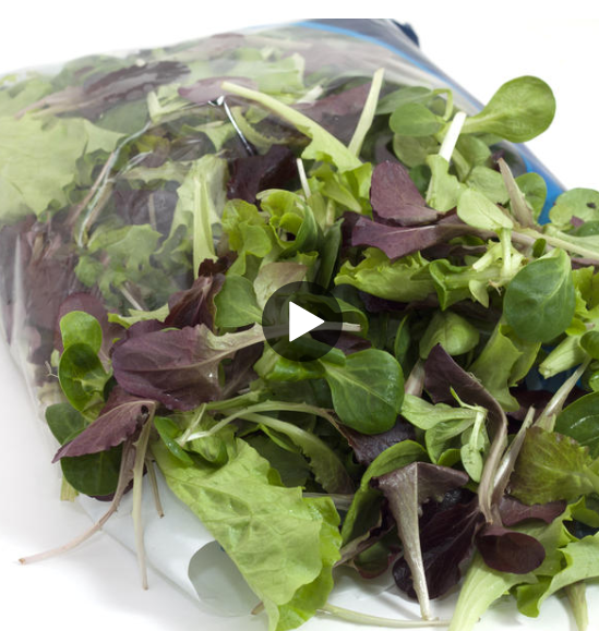 WEBE Morning Hack: Bagged Lettuce Hack