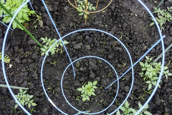 Morning Hack 12/9/2020 Tomato Cage Tree!