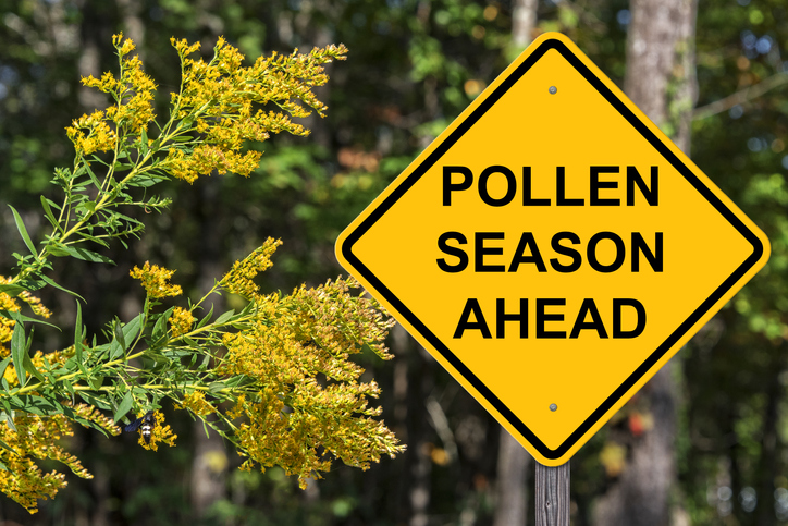 WEBE Wellness: Preparing For Allergies