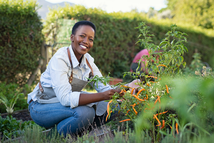 WEBE Wellness: Gardening For Your Mental Health