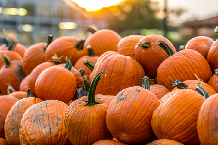 Morning Hack 10/20/2021 Pick The Best Pumpkin This Way!