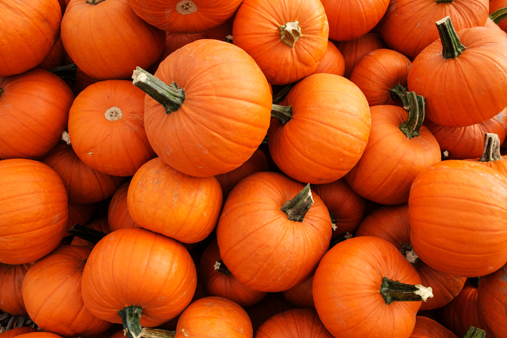 Morning Hack 10/7/2022 Try This Idea For Carving A Pumpkin!