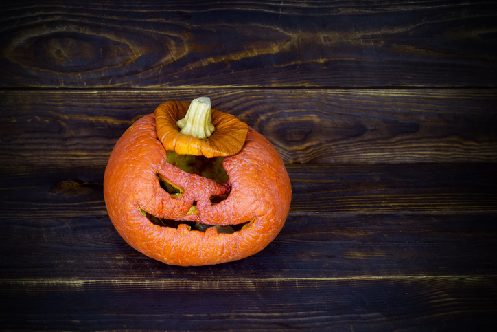 Morning Hack 10/20/2022 Recycle Your Pumpkin This Way!