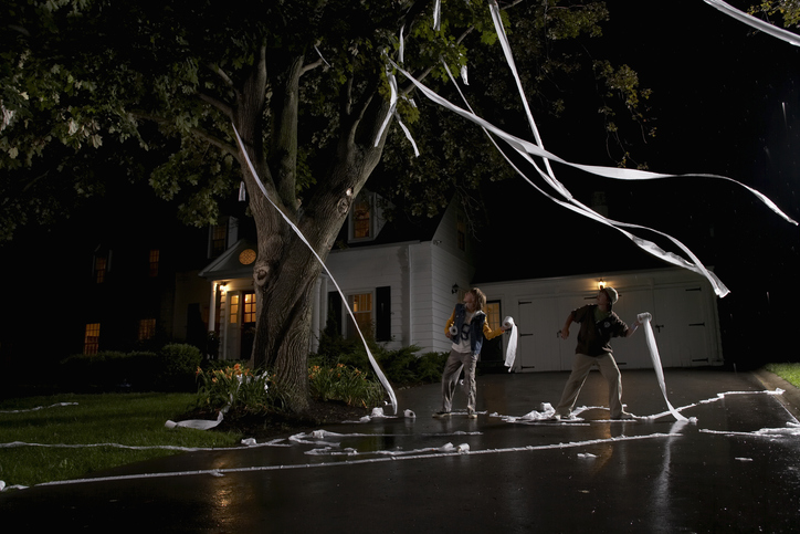 Morning Hack 10/31/2022 Get Rid Of Toilet Paper In The Trees From Halloween!