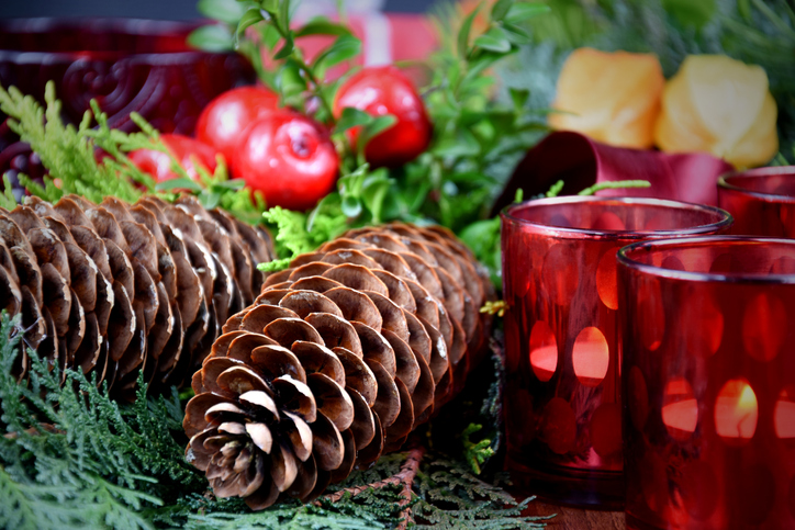 Morning Hack 11/1/2022 Make Colorful Pine Cones For The Holidays!