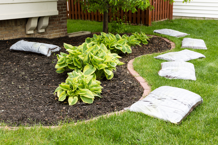 Morning Hack 5/3/2023 Use Cardboard For Prepping Your Garden Or Any Area!