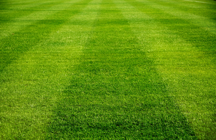 Morning Hack 8/9/2023 Get That Ball Field Looking Lawn!