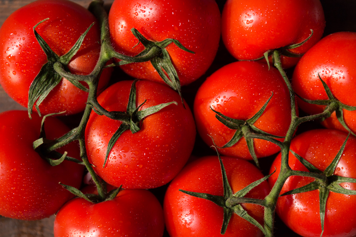 Morning Hack 8/10/2023 Freeze Fresh Tomatoes! Simple!