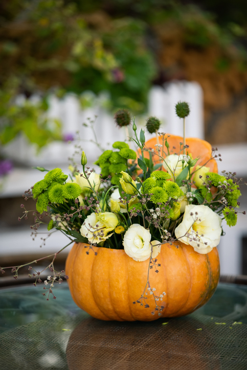 Morning Hack 10/8/2024 Perfect Fall Centerpiece!