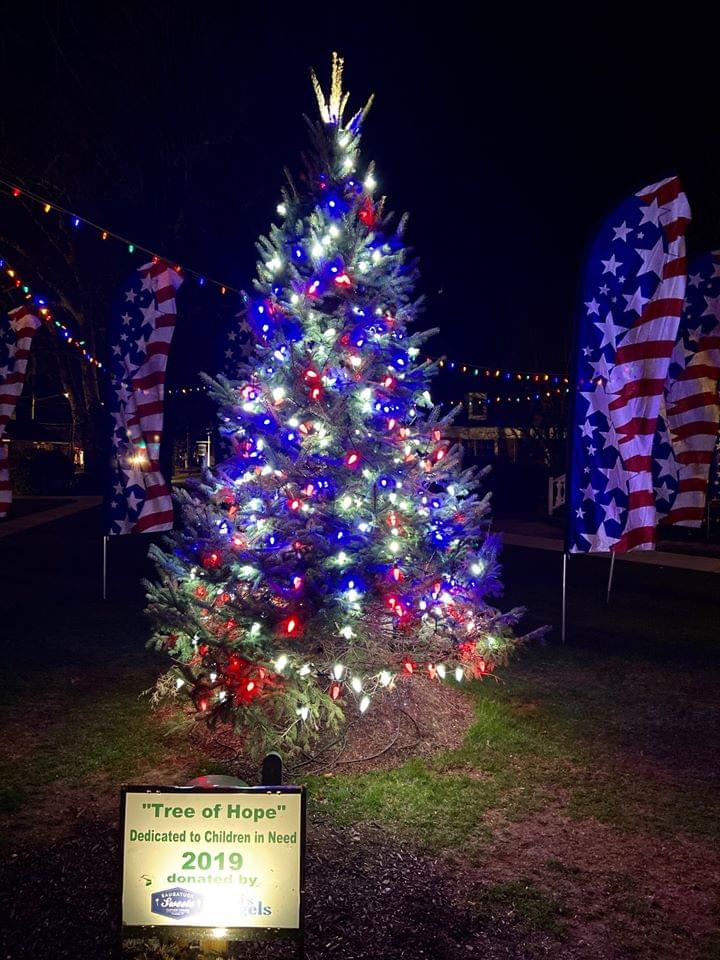 Tree Troubles in Fairfield