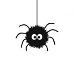 Melissa in the Morning: Are you smarter than a Spider?