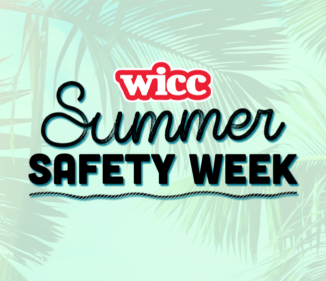 Melissa in the Morning: Summer Safety Week