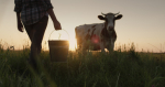 Melissa in the Morning: Milk Prices and CT Farmers