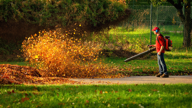 The Lisa Wexler Show – Westport’s New Leaf Blowing Ordinance