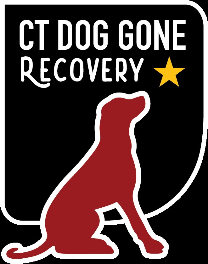 Melissa in the Morning: CT Missing Dog Recovery Network